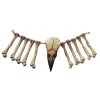 Sunstar Industries Bird Beak And Bones 15" Necklace 1 Sunstar Industries Bird Beak And Bones 15" Necklace -HALLOWEEN COSTUMES Sales 15 bird beak and bones necklace