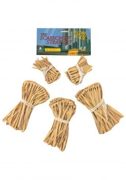 Rubies Costume Co. Inc Five-Piece Scarecrow Straw Kit